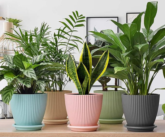 Round Flower Pot with Tray | Pack of 05