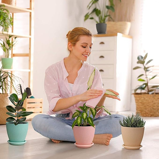 Round Flower Pot with Tray | Pack of 05